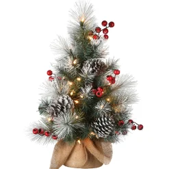 National Tree Company 2 ft. Snowy Glacier Pine Tree with Warm White LED Lights