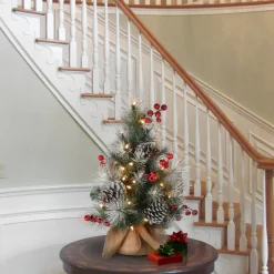 National Tree Company 2 ft. Snowy Glacier Pine Tree with Warm White LED Lights