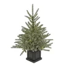 National Tree Company 4 ft.Pre-Lit Aberdeen Blue Spruce Tree