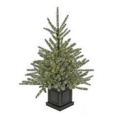 National Tree Company 4 ft.Pre-Lit Aberdeen Blue Spruce Tree