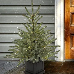 National Tree Company 4 ft.Pre-Lit Aberdeen Blue Spruce Tree