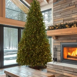 National Tree Company 10 ft.Pre-Lit Dunhill Fir Tree with PowerConnect Dual Color LED Lights