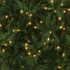 National Tree Company 10 ft.Pre-Lit Kingswood Fir Pencil Slim Tree with Clear Lights