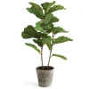 National Tree Company 43 in. Fiddle Leaf Fig Topiary Tree