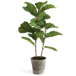 National Tree Company 43 in. Fiddle Leaf Fig Topiary Tree