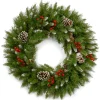 National Tree Company 24 in. Frosted Berry Wreath