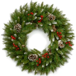 National Tree Company 24 in. Frosted Berry Wreath