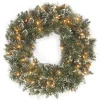 National Tree Company 24 in. Glittery Bristle Pine Wreath with Clear Lights