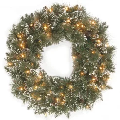 National Tree Company 24 in. Glittery Bristle Pine Wreath with Clear Lights