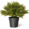 National Tree Company 15 in. Globe Cedar Tree