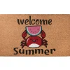 National Tree Company 30 in. Green Welcome Summer Crab and Watermelon Coir Doormat