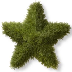 National Tree Company 36 in. Juniper Star Wreath
