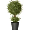 National Tree Company 30 in. Mini Tea Leaf 1 Ball in Green Round Growers Pot