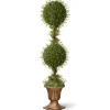National Tree Company 60 in. Mini Tea Leaf 2 Ball Topiary with Black in a Gold Urn
