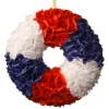 National Tree Company 18 in. Patriotic Rose Wreath