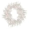 National Tree Company 30 in. Pre-Lit HGTV Home Collection Christmas by the Sea Coral Wreath