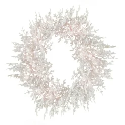 National Tree Company 30 in. Pre-Lit HGTV Home Collection Christmas by the Sea Coral Wreath