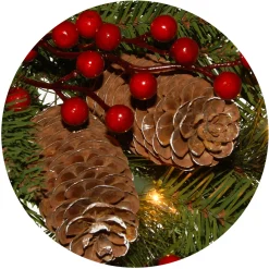 National Tree Company 24 in. Pre-Lit Bristle Berry Wreath with LED Lights