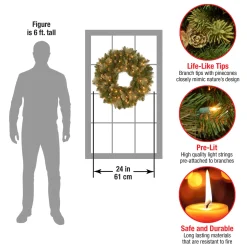 National Tree Company 24 in. Pre-Lit Carolina Pine Wreath with LED Lights