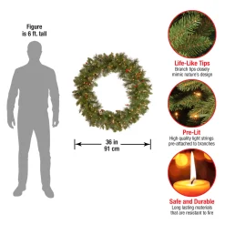 National Tree Company 36 in. Pre-Lit Crestwood Spruce Wreath with Clear Lights