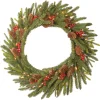 National Tree Company 24 in. Pre-Lit Dorchester Fir Wreath with LED Lights