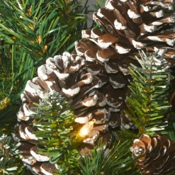 National Tree Company 24 in. Pre-Lit Frosted Berry Wreath with Clear Lights, Plug-In