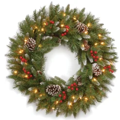 National Tree Company 24 in. Pre-Lit Frosted Berry Wreath with Clear Lights, Plug-In