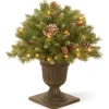 National Tree Company 24 in. Pre-Lit Frosted Berry Porch Bush with Clear Lights