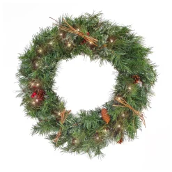 National Tree Company 24 in. Pre-Lit Glistening Pine Wreath with LED Lights