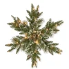 National Tree Company 32 in. Pre-Lit Glittery Bristle Pine Snowflake with LED Lights