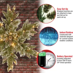 National Tree Company 32 in. Pre-Lit Glittery Bristle Pine Snowflake with LED Lights