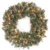 National Tree Company 24 in. Pre-Lit Glittery Bristle Pine Wreath with LED Lights