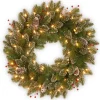 National Tree Company 24 in. Pre-Lit Glittery Mountain Spruce with LED Lights