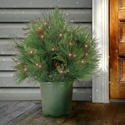 National Tree Company 26 in. Pre-Lit HGTV Home Collection Black Tie Planter Filler