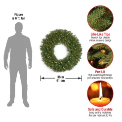 National Tree Company 36 in. Pre-Lit Norwood Fir Wreath with Clear Lights
