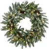 National Tree Company 30 in. Pre-Lit Snowy Morgan Spruce Wreath with Twinkly LED Lights