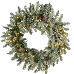 National Tree Company 24 in. Pre-Lit Snowy Morgan Spruce Wreath with Dual Color LED Lights