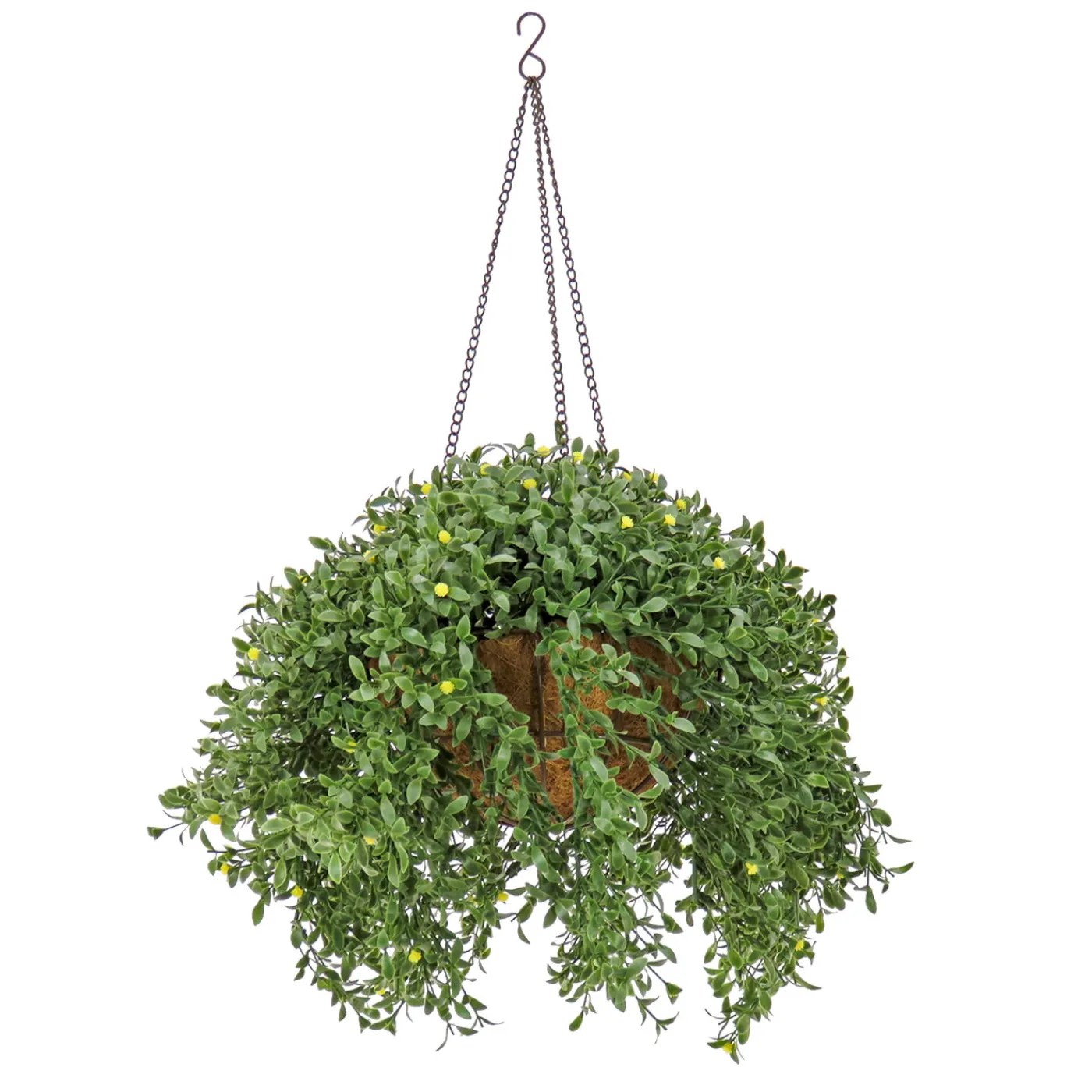 National Tree Company 18 in. Spring Argentea Hanging Plant with Yellow Flowers