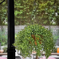 National Tree Company 18 in. Spring Argentea Hanging Plant with Yellow Flowers