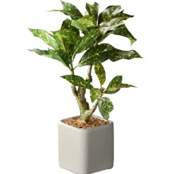 National Tree Company 11 in. Spring Croton Tree Potted Plant in a Stylish Ceramic Pot Base
