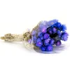 National Tree Company 16 in. Spring Dried Blue Capeblumen Flowers Bouquet