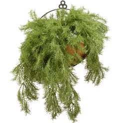 National Tree Company 20 in. Spring Green Pine Branch Wall Basket