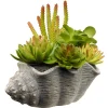 National Tree Company 11 in. Spring Potted Plant with Various Green and Orange Succulents in a Stylish Conch Shell Cement Pot