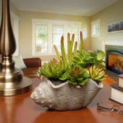 National Tree Company 11 in. Spring Potted Plant with Various Green and Orange Succulents in a Stylish Conch Shell Cement Pot