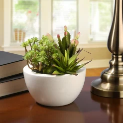 National Tree Company 8 in. Spring Potted Plant with Various Green Succulents in a Stylish White Ceramic Base