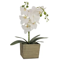 National Tree Company 21 in. Spring White Orchid Flower in Wood Box