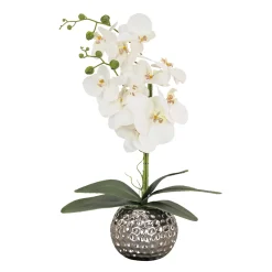 National Tree Company 21 in. Spring White Orchid in Silver Smooth Ceramic Pot