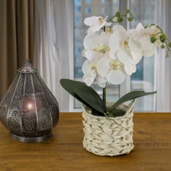 National Tree Company 21 in. Spring White Orchid in White Basket