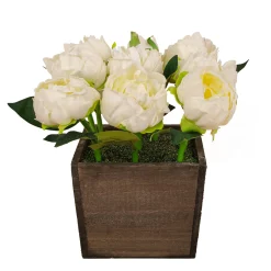 National Tree Company 10 in. Spring White Peony Flowers in Wood Box