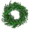 National Tree Company 18 in. Spring Wreath with Boxwood Flowers, Flowing Green Stems